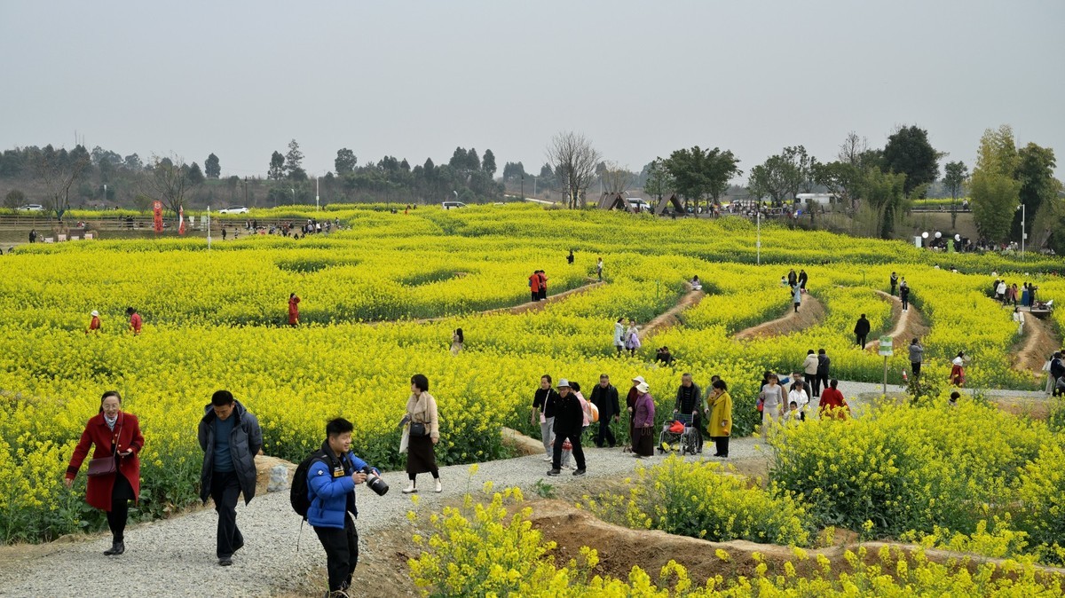 丰收之花 油的色彩