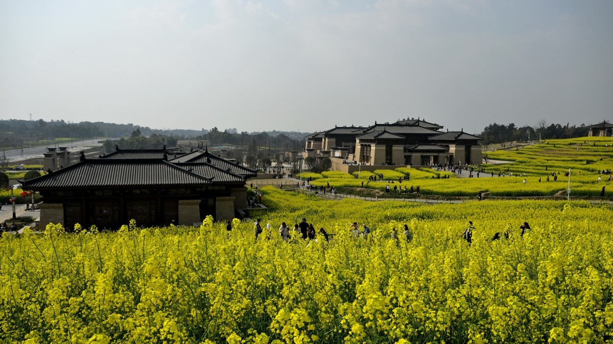 丰收之花 油的色彩