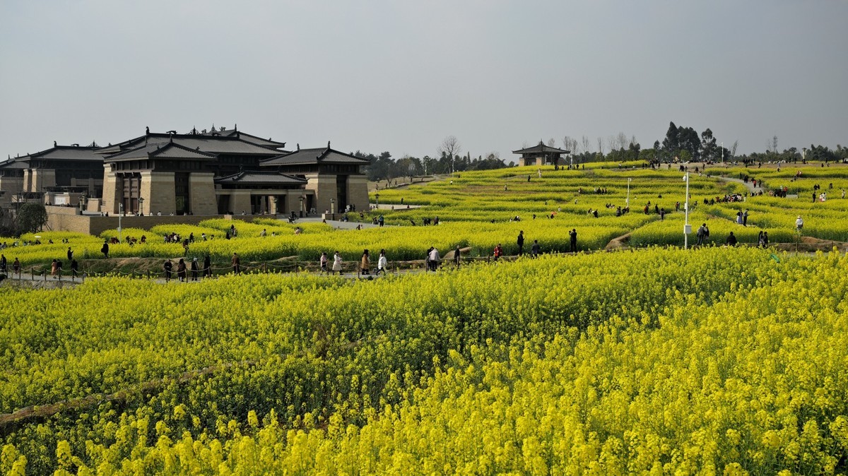 丰收之花 油的色彩