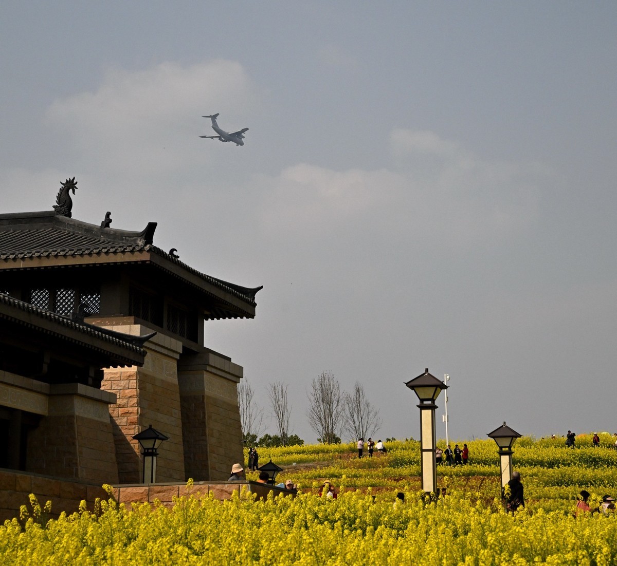 丰收之花 油的色彩