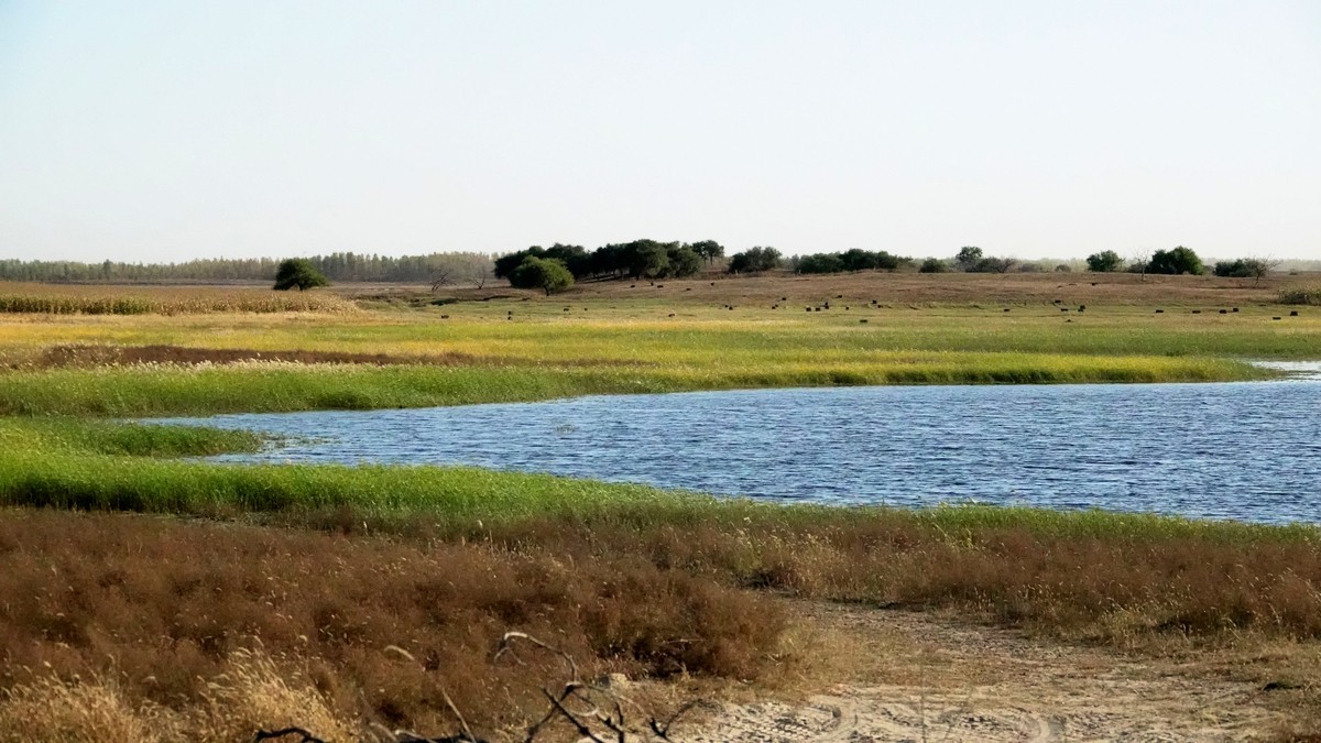 内蒙古代钦塔拉五角枫生态景区