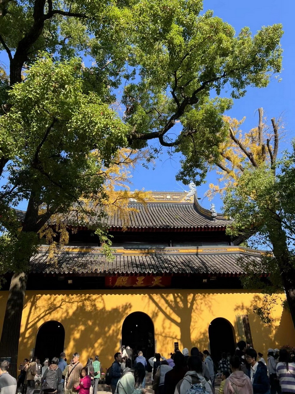 姑苏掠影 . 孙女随拍    2 。