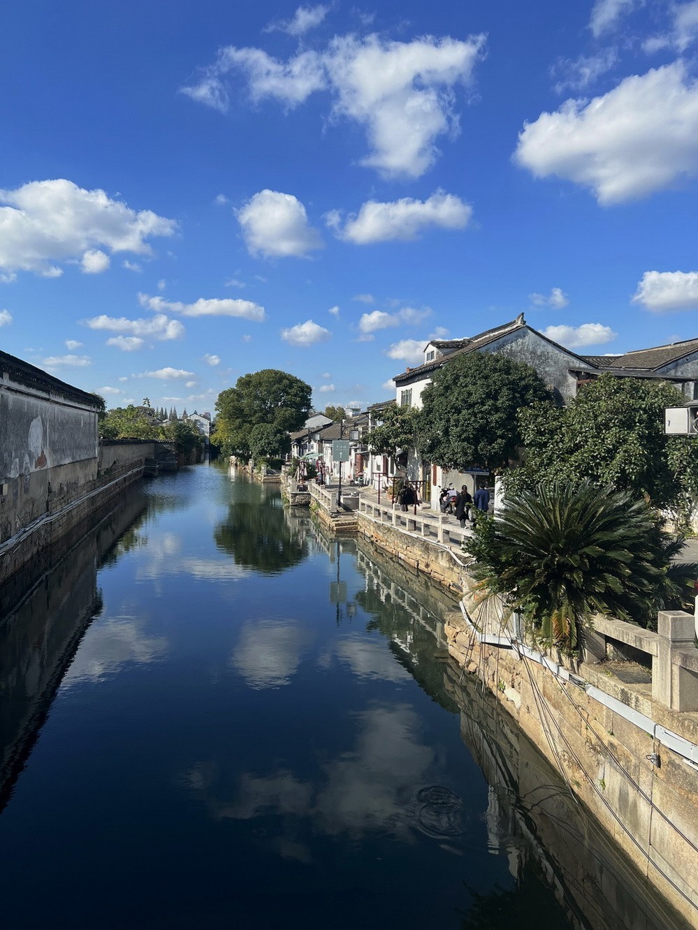 姑苏掠影 . 孙女随拍    2 。