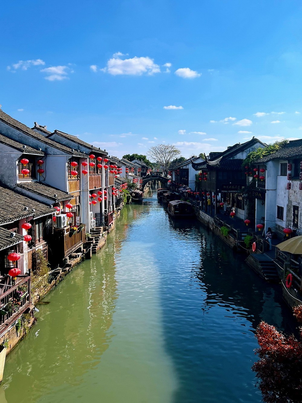 姑苏掠影 . 孙女随拍    2 。