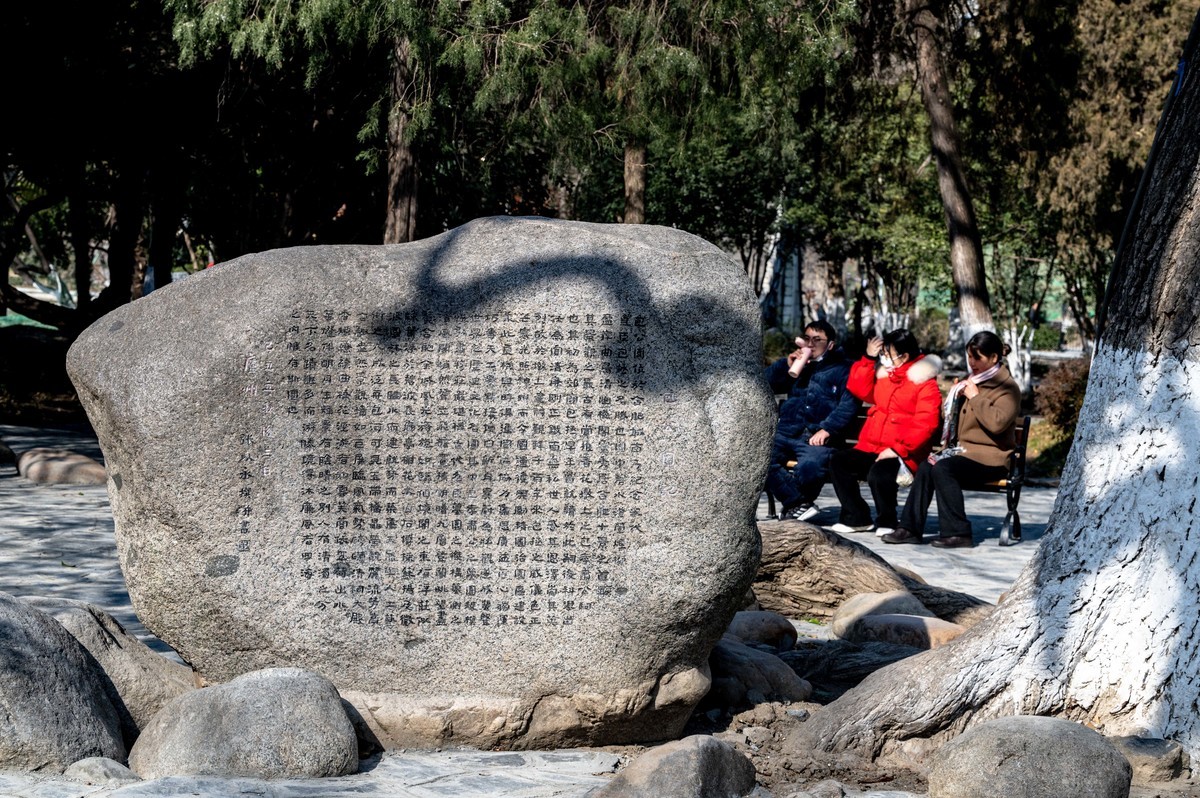 庐州印象（432）新年街景