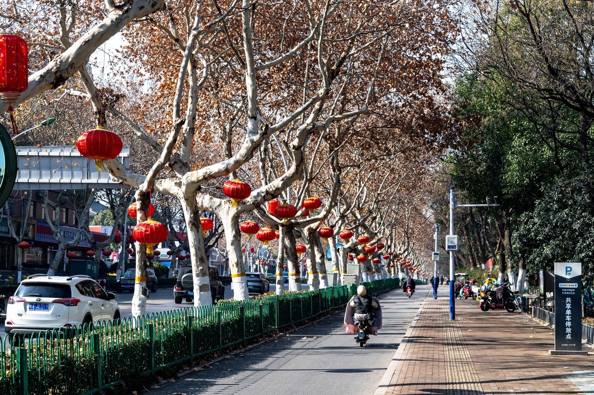 庐州印象（432）新年街景