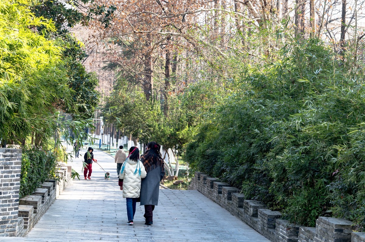 庐州印象（432）新年街景