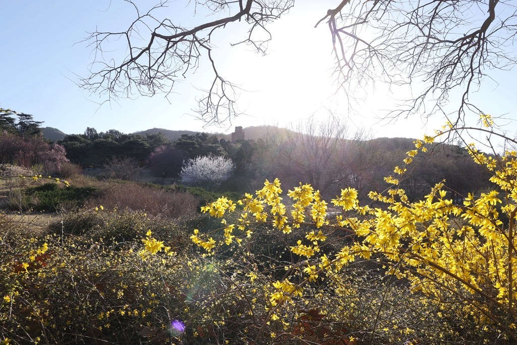 植物园春暖花开