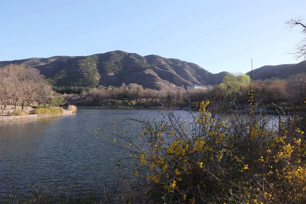 植物园春暖花开
