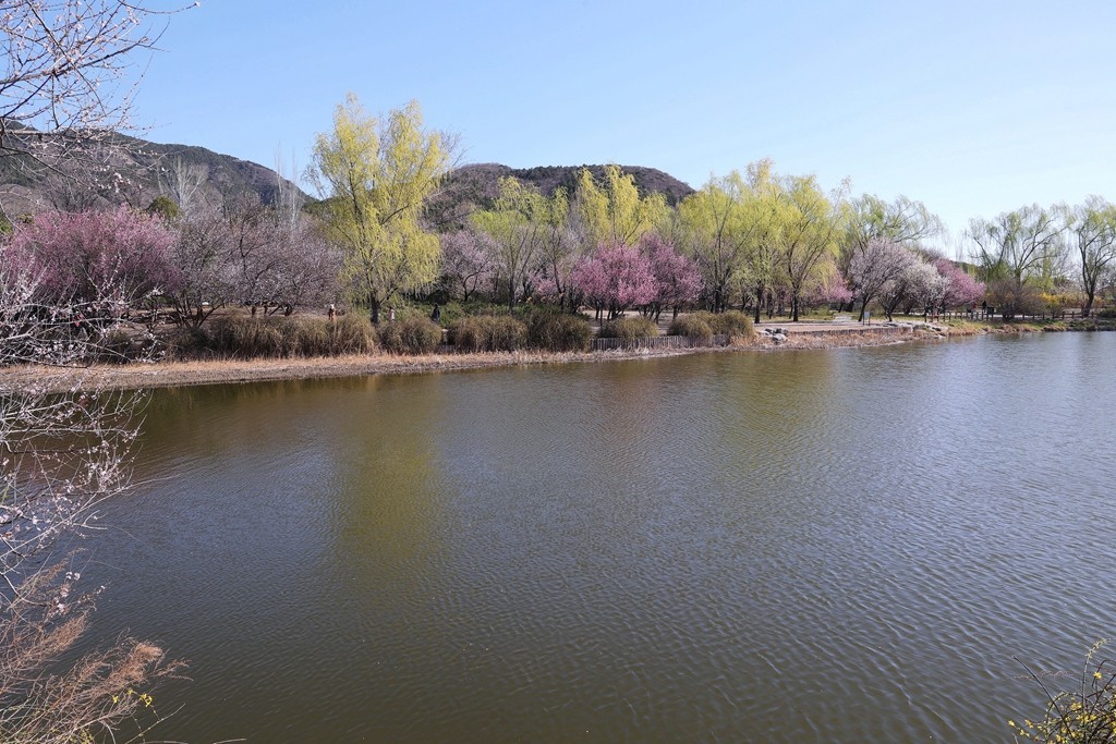 植物园春暖花开