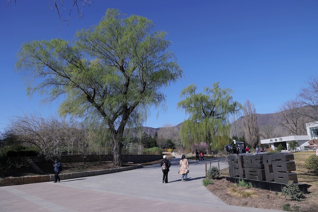 植物园春暖花开