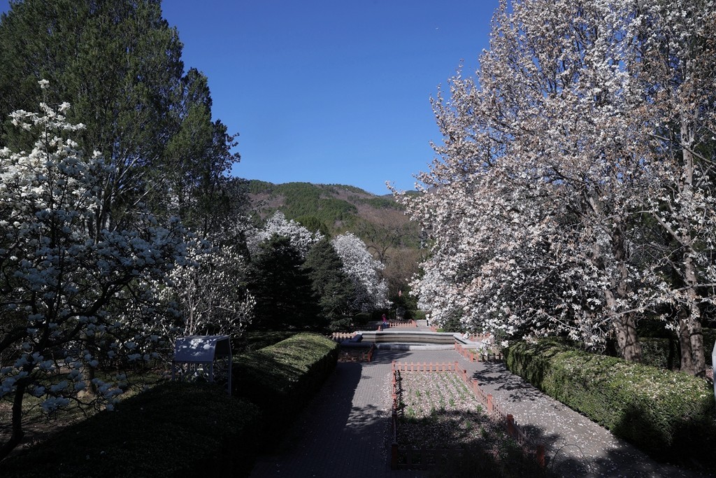 植物园春暖花开