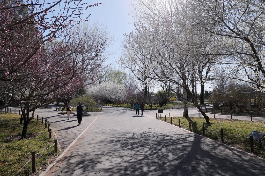 植物园春暖花开