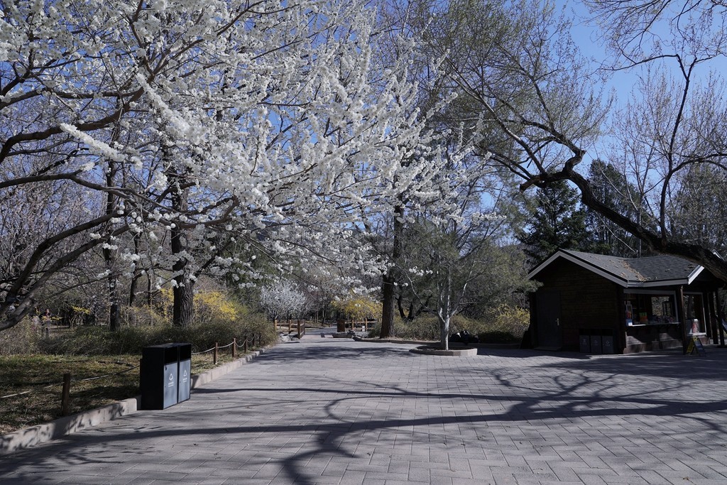 植物园春暖花开