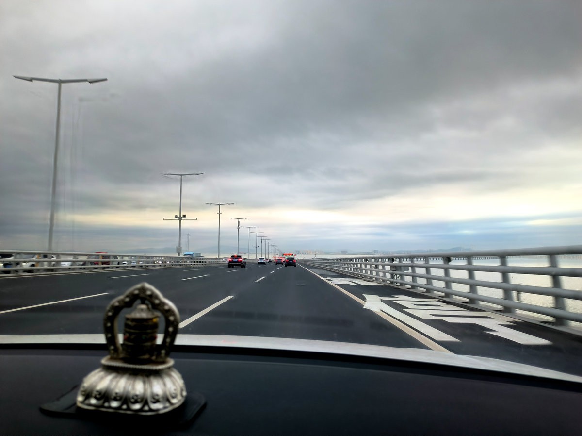 2025春节 广东行（121）亲历世界级工程