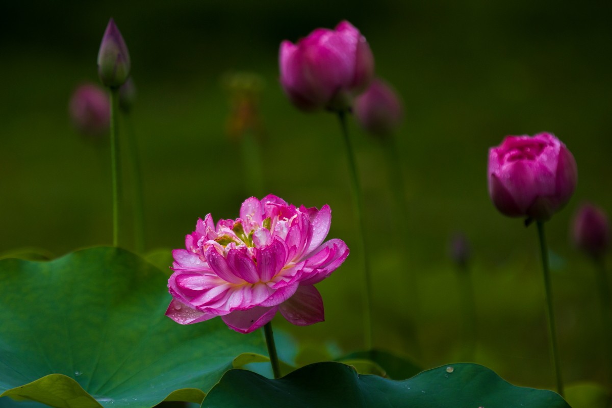 外出随拍（408）.