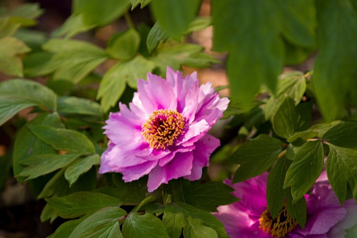 外出随拍（408）.