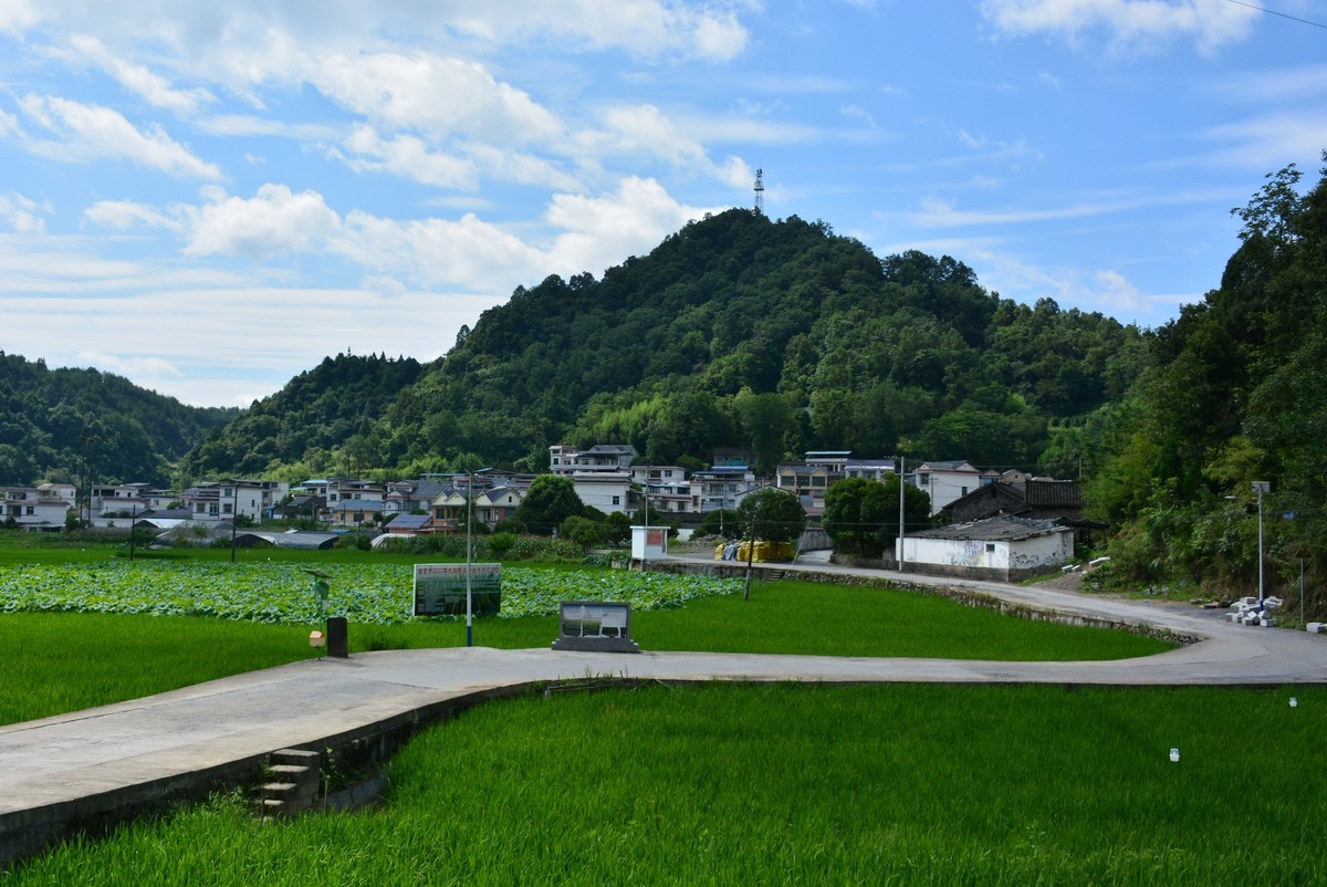 新农村