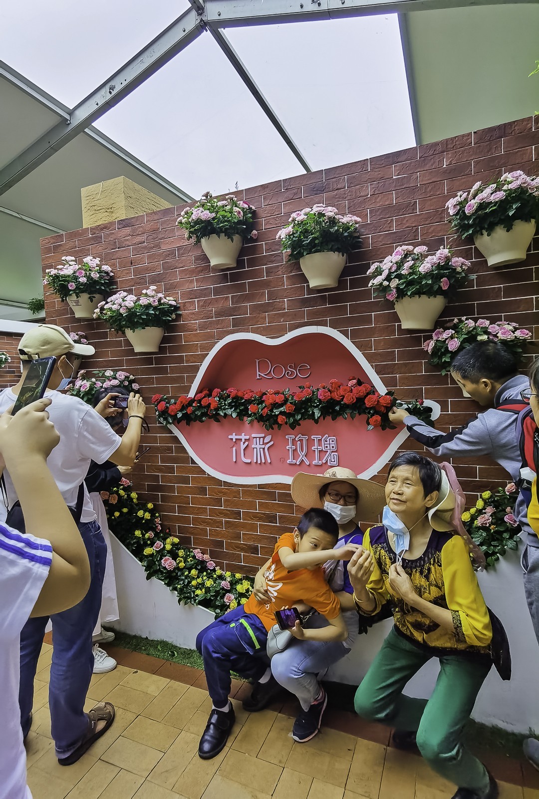 粤港澳大湾区深圳花展 ~ 掠影