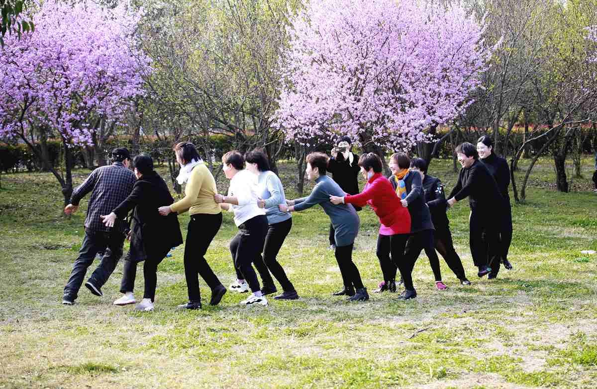 不忘儿时   抓小鸡  丢手绢