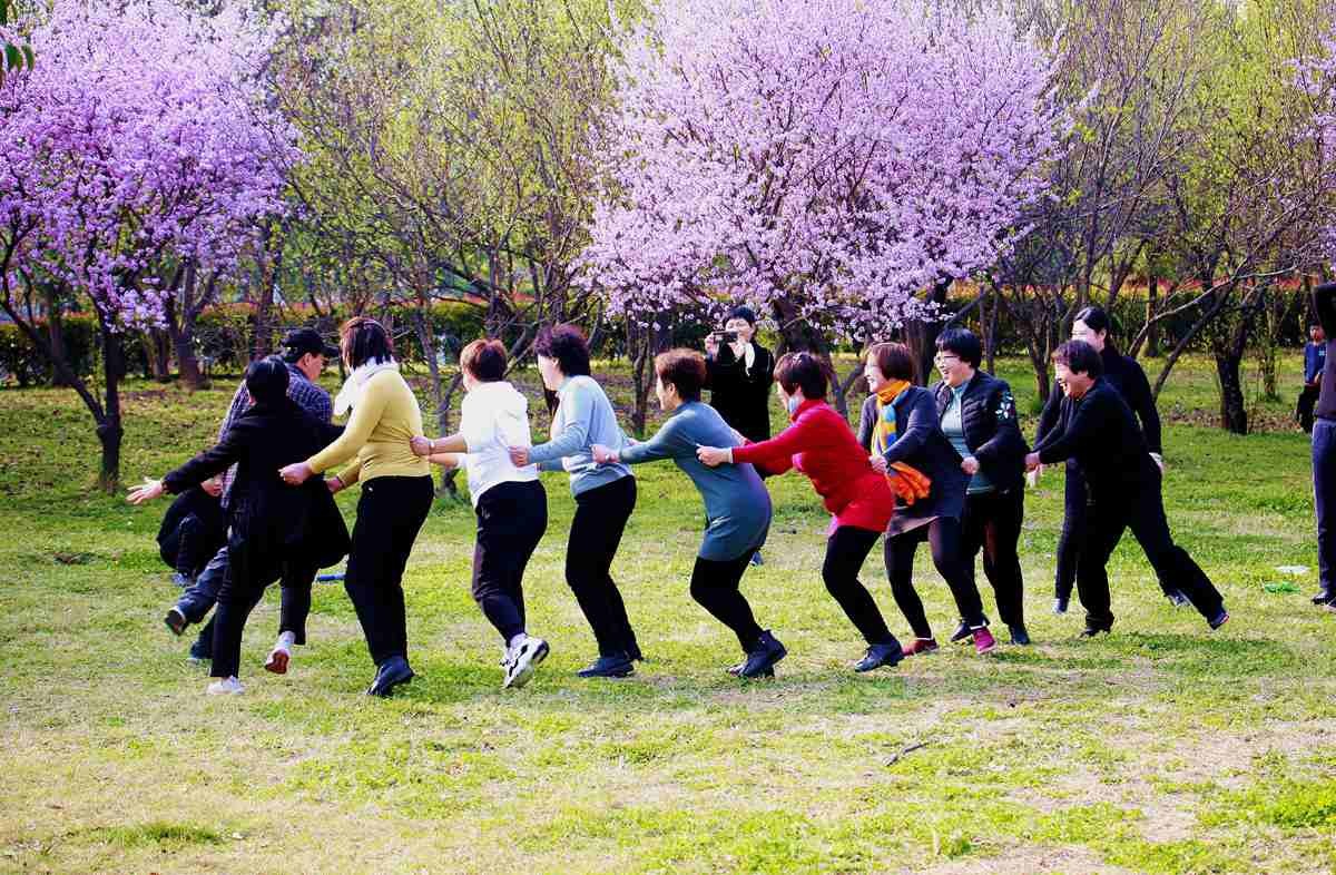 不忘儿时   抓小鸡  丢手绢