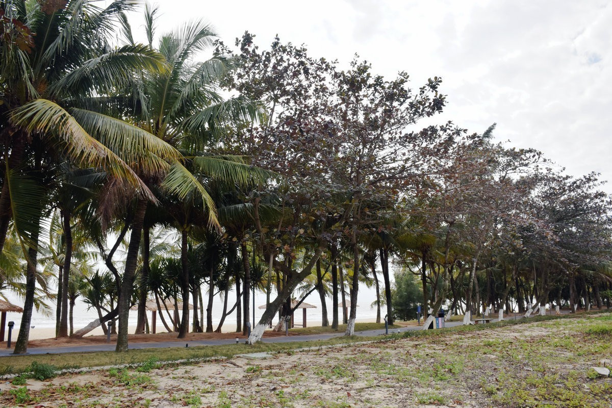 2023春节 桂粤行（10）电白区海滨二路