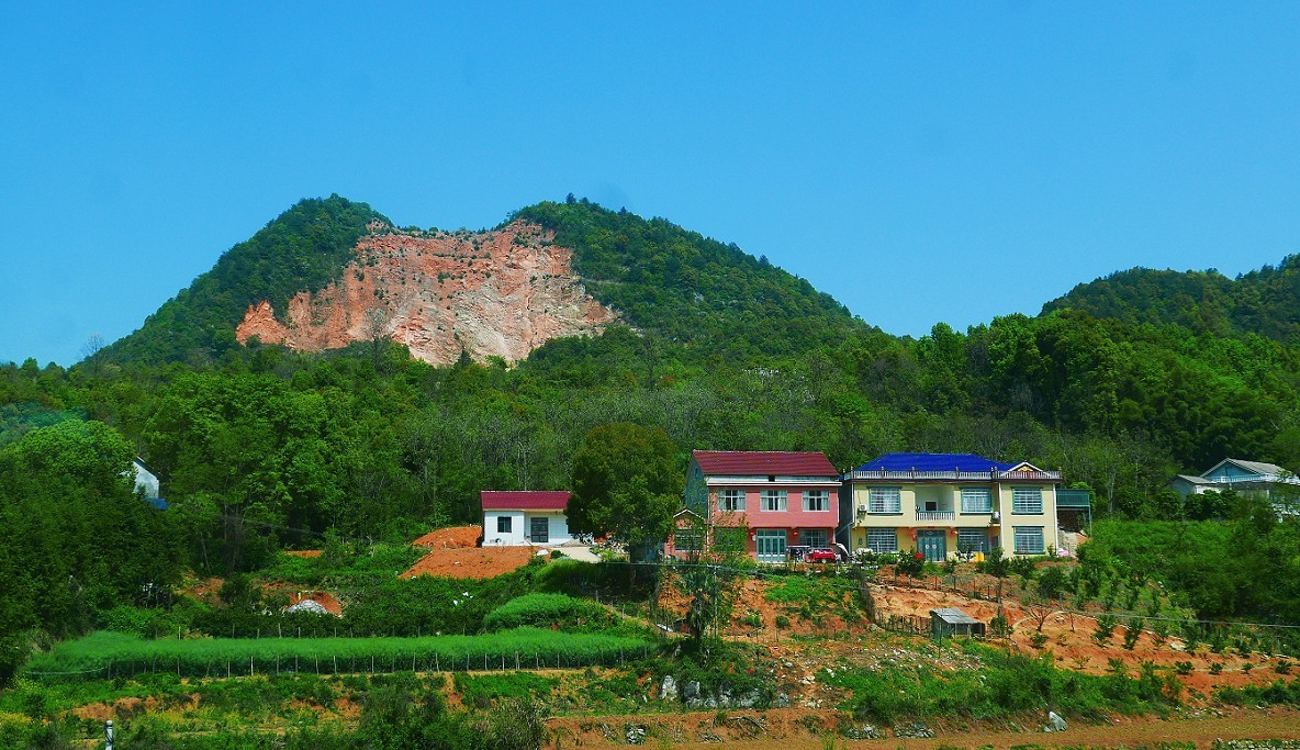 溜圈扫街抓拍片《风景，花草还有跳舞的美女》