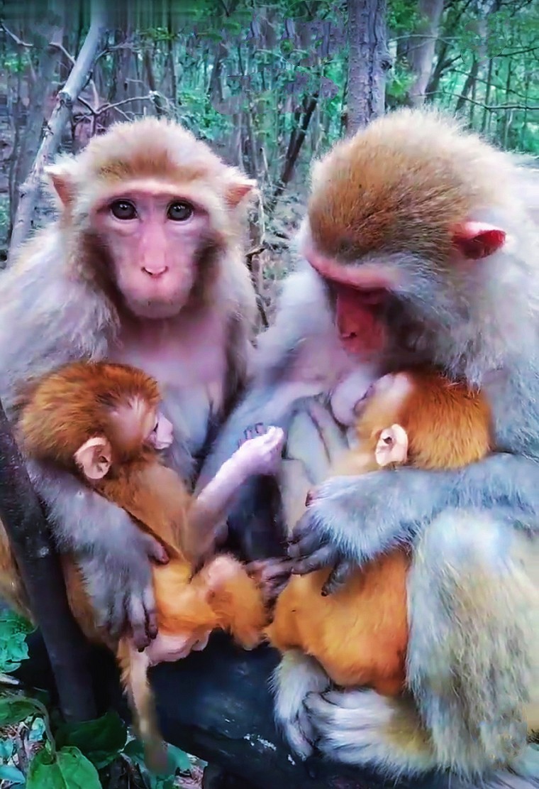 溜圈扫街抓拍片《风景，花草还有跳舞的美女》