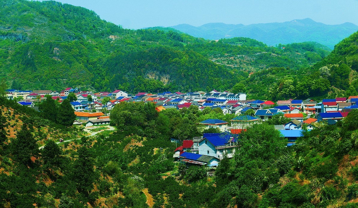 溜圈扫街抓拍片《风景，花草还有跳舞的美女》