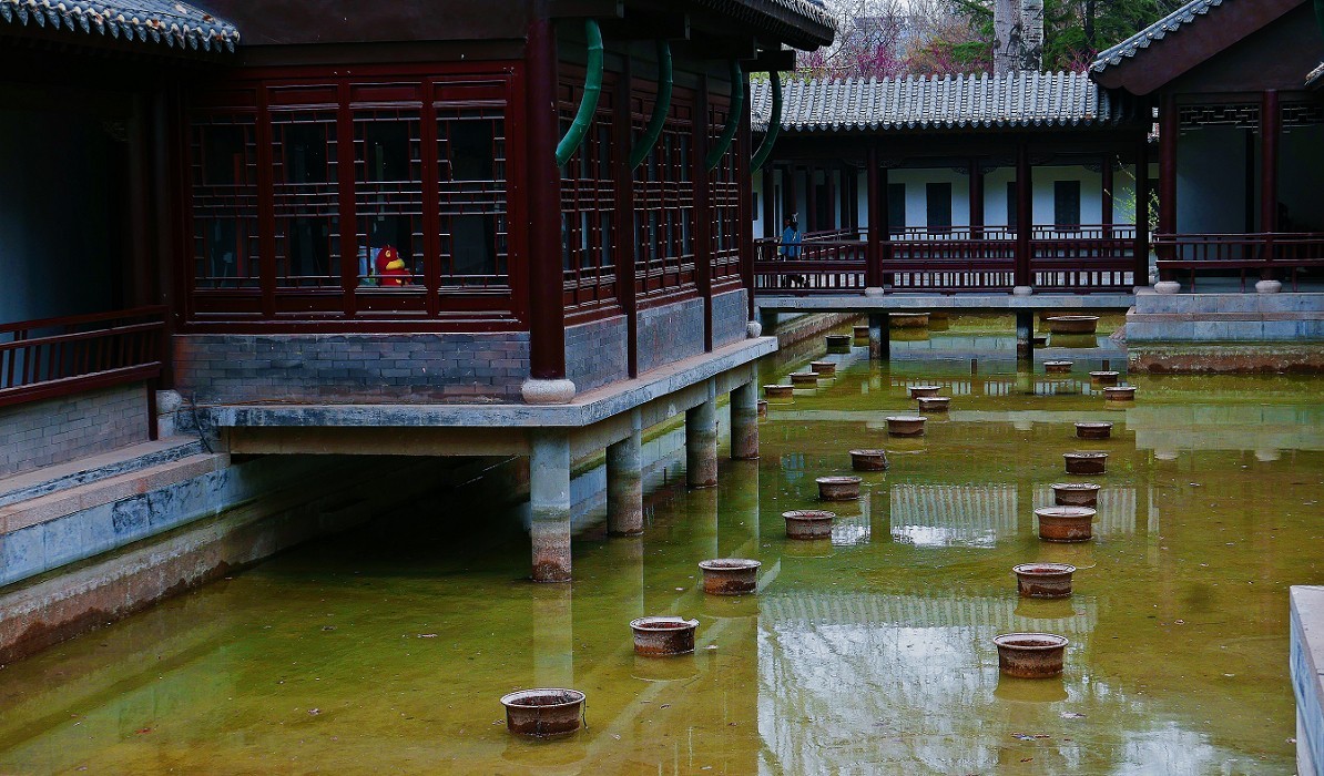 溜圈扫街抓拍片《风景，花草还有跳舞的美女》