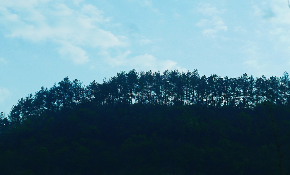 溜圈扫街抓拍片《风景，花草还有跳舞的美女》