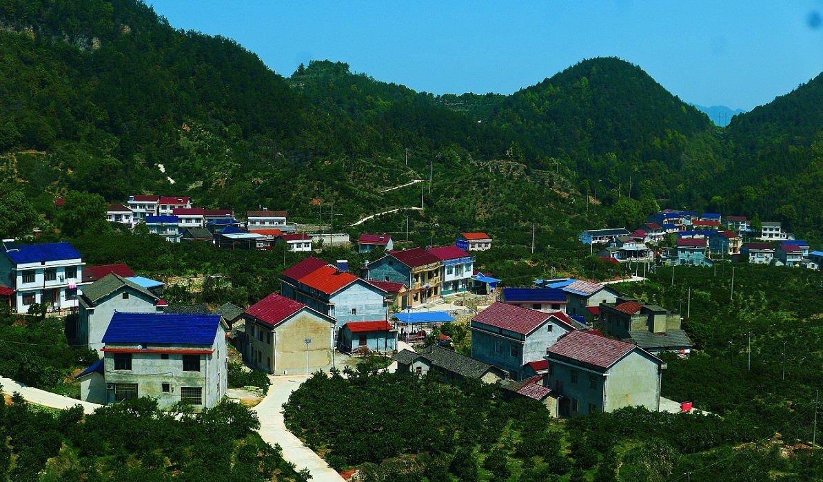 溜圈扫街抓拍片《风景，花草还有跳舞的美女》