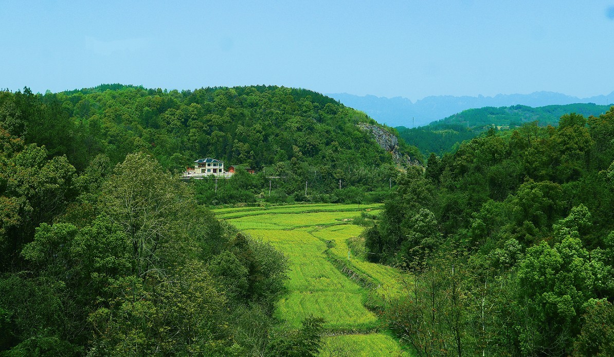 溜圈扫街抓拍片《风景，花草还有跳舞的美女》