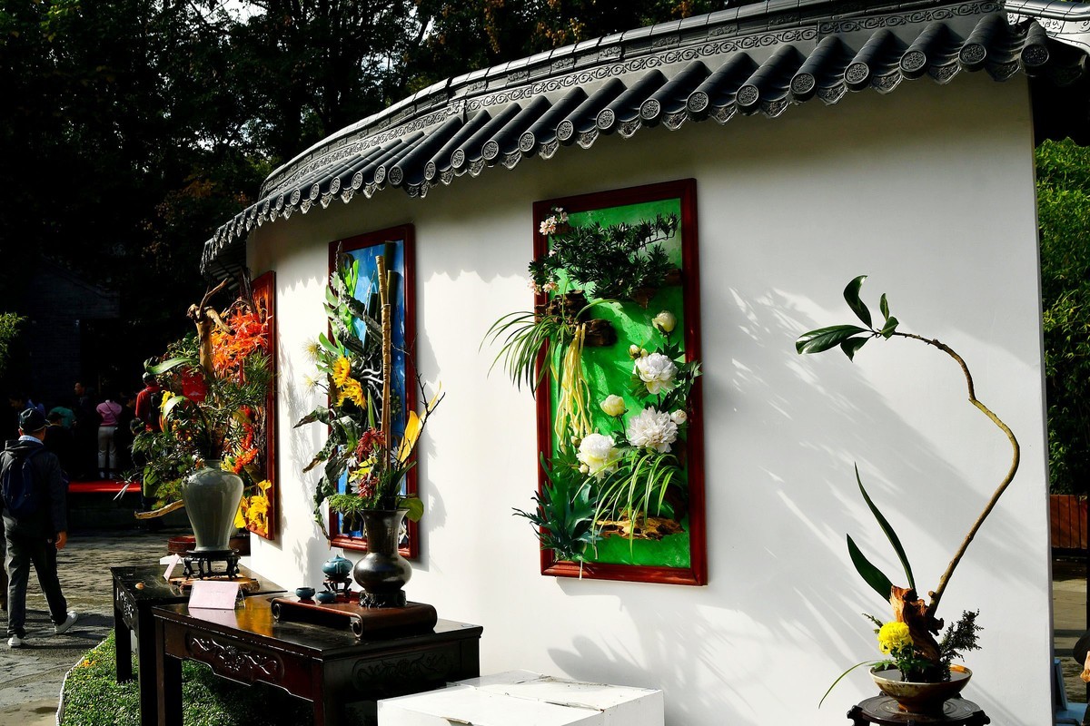 秋菊插花艺术欣赏