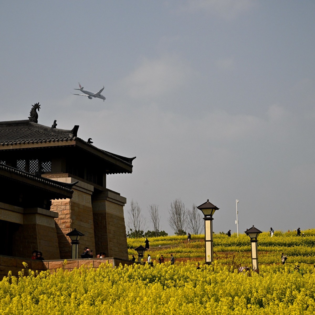 丰收之花 油的色彩