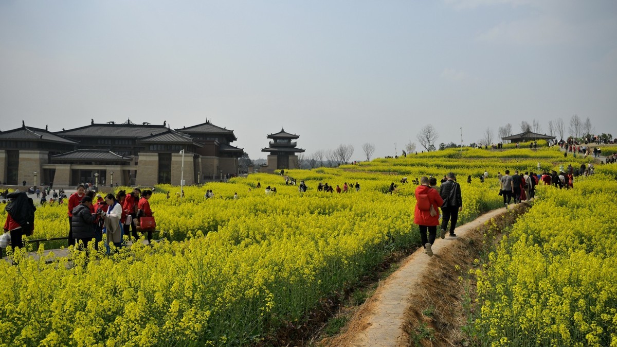 丰收之花 油的色彩