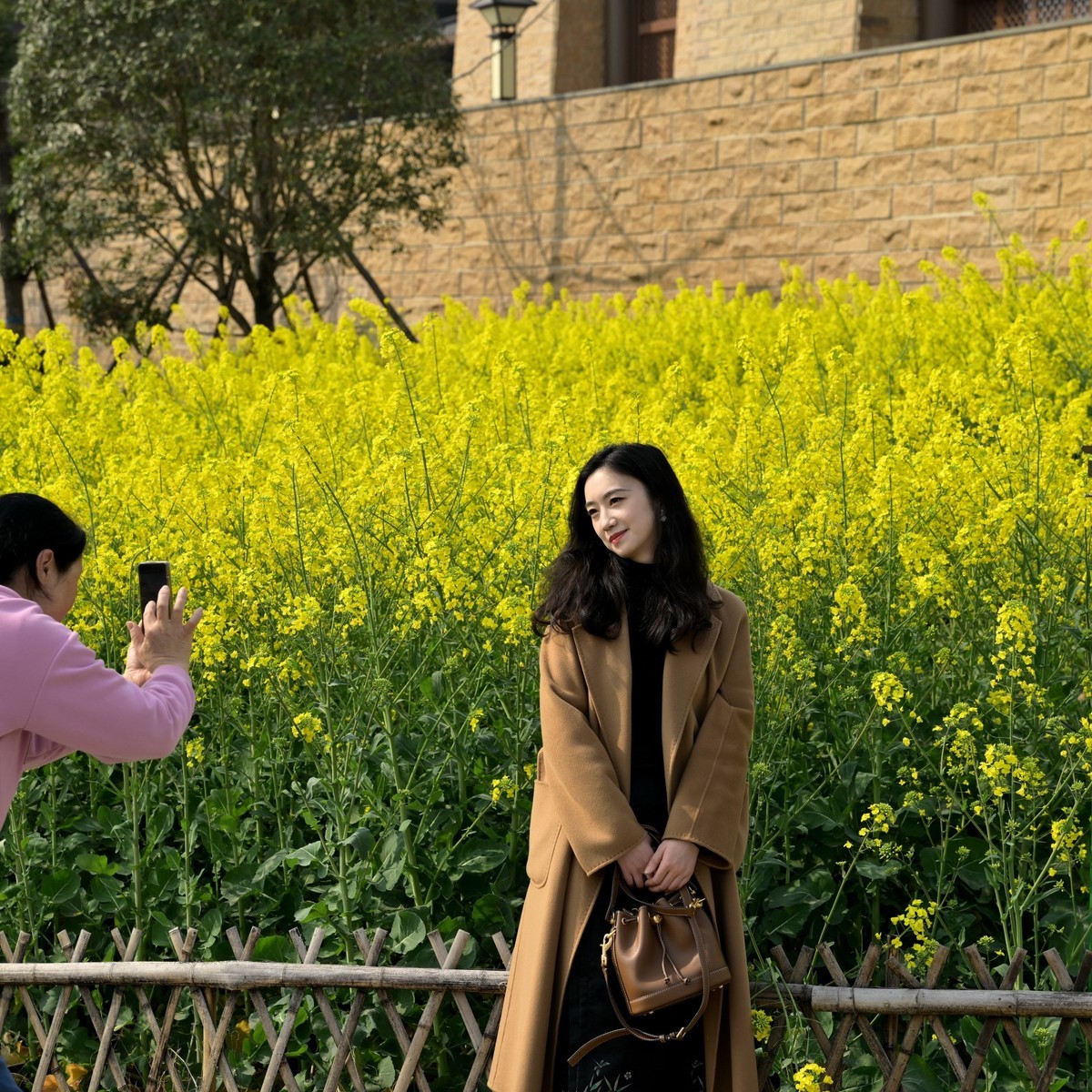 丰收之花 油的色彩