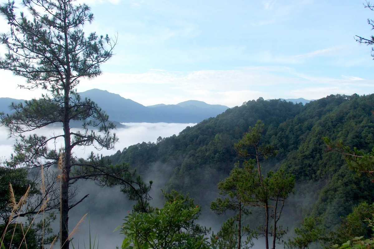 奥林巴斯STYLUS 1（卡片机拍风景）