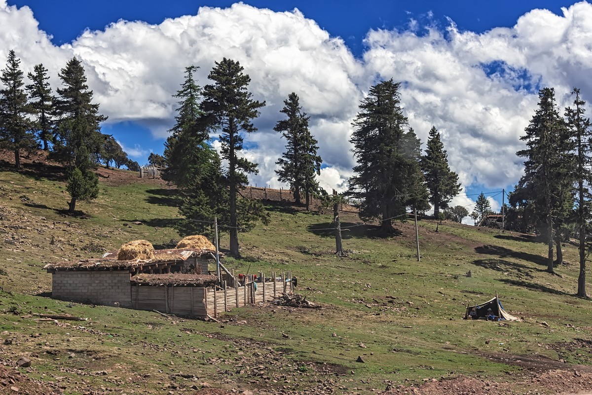 2019 . 06 . 离藏返川 · 芒康红拉山垭口（告假）