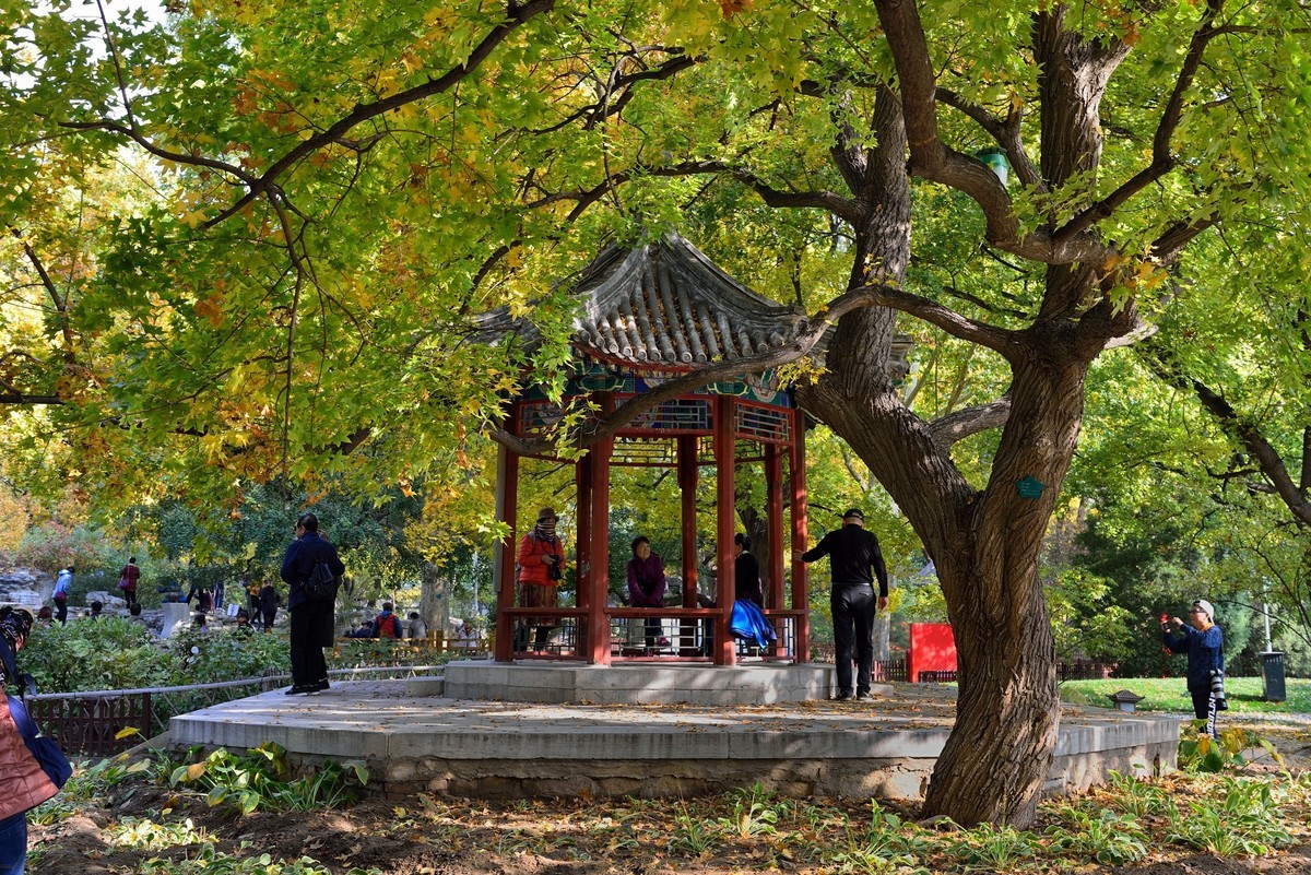 地坛秋色即景-2