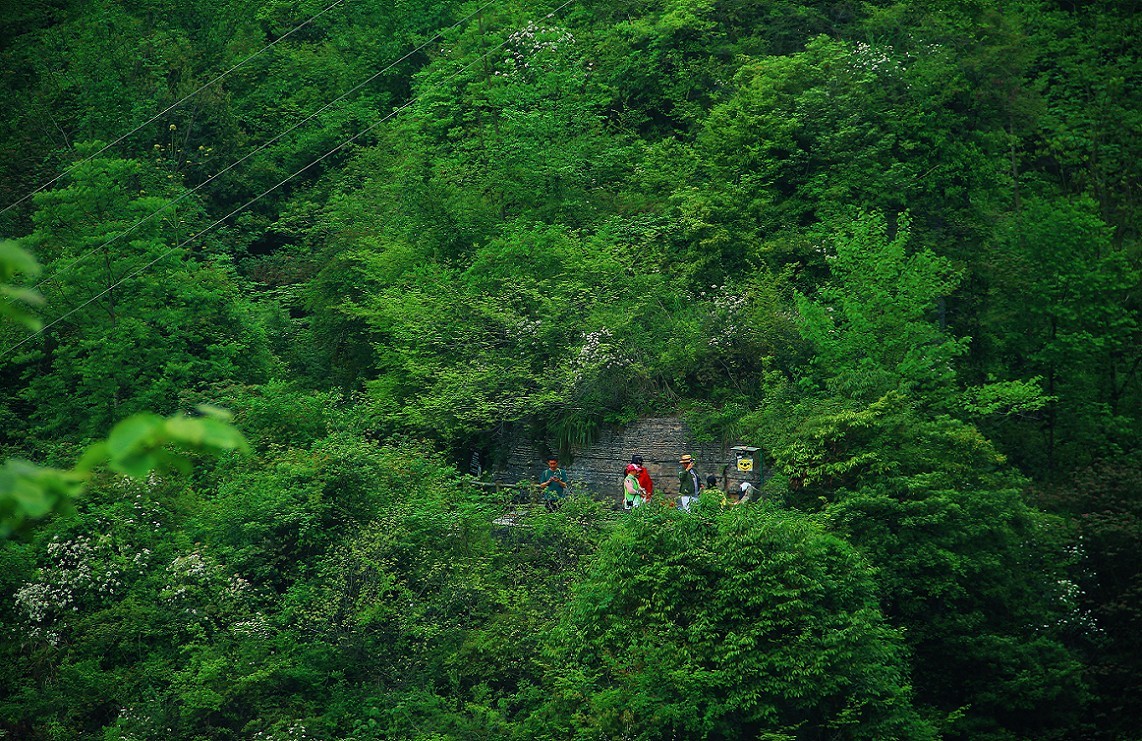 节日帖，庆五一劳动节《旅游抓拍片》祝大家节日愉快万事如意！