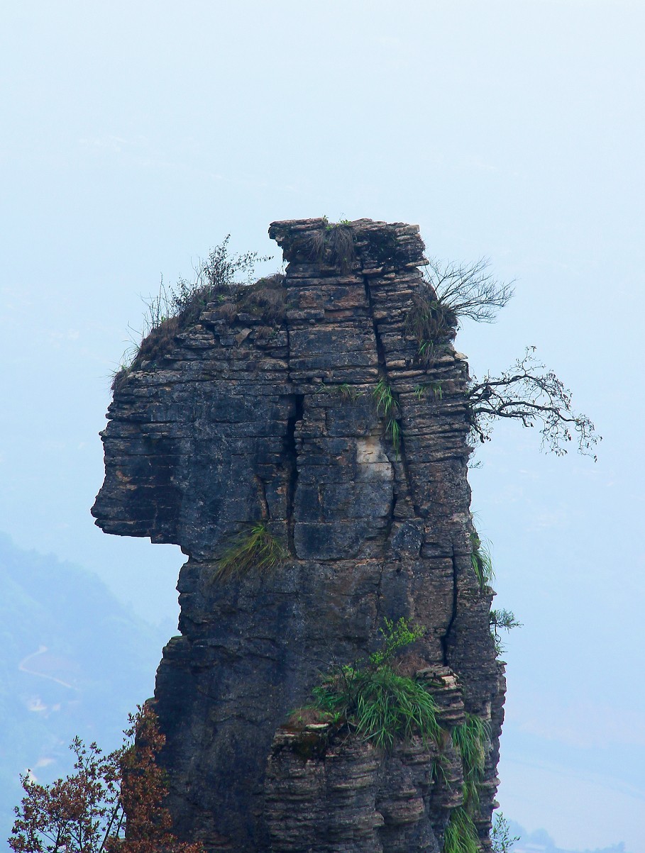 节日帖，庆五一劳动节《旅游抓拍片》祝大家节日愉快万事如意！