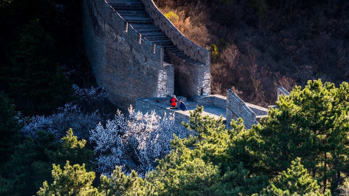 金山岭长城春色（十五）------待到山花烂漫时