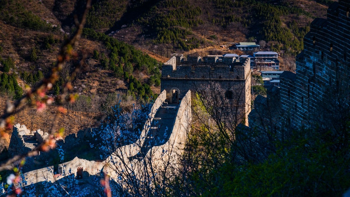 金山岭长城春色（十五）------待到山花烂漫时