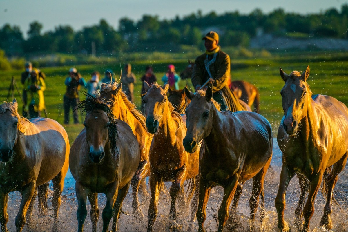 21.6 草原的夏天 （十一）------马踏飞浪