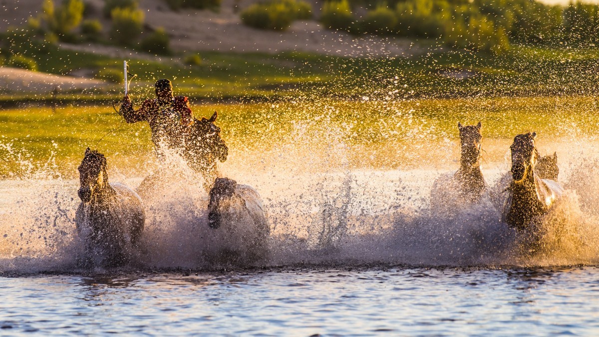 21.6 草原的夏天 （十一）------马踏飞浪