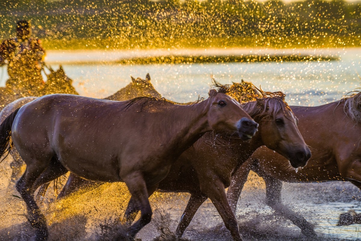 21.6 草原的夏天 （十一）------马踏飞浪
