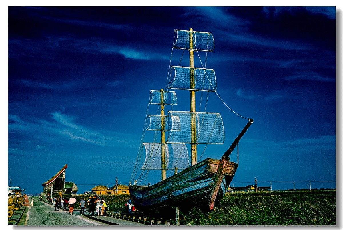 尼康Z8一一试机盘锦红海滩