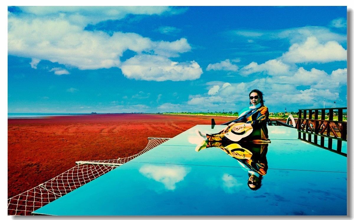 尼康Z8一一试机盘锦红海滩