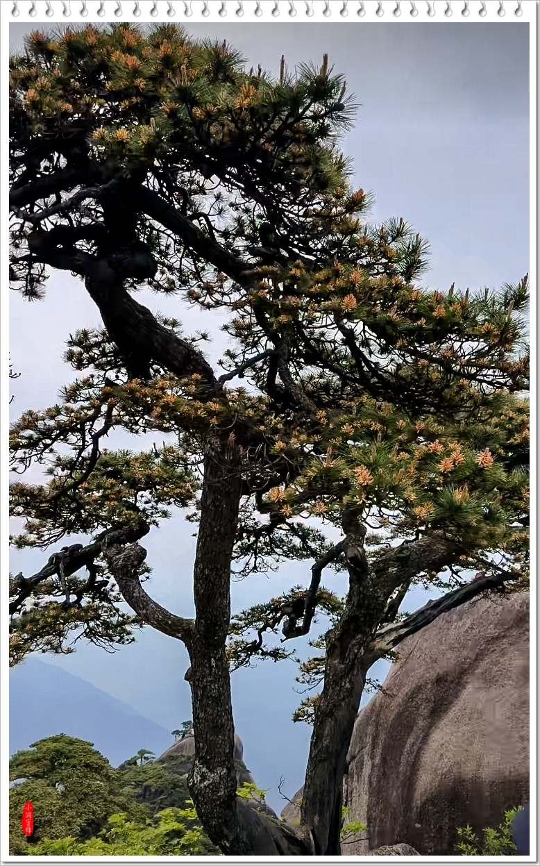 2024年-黄山风光纪实抓拍-0501